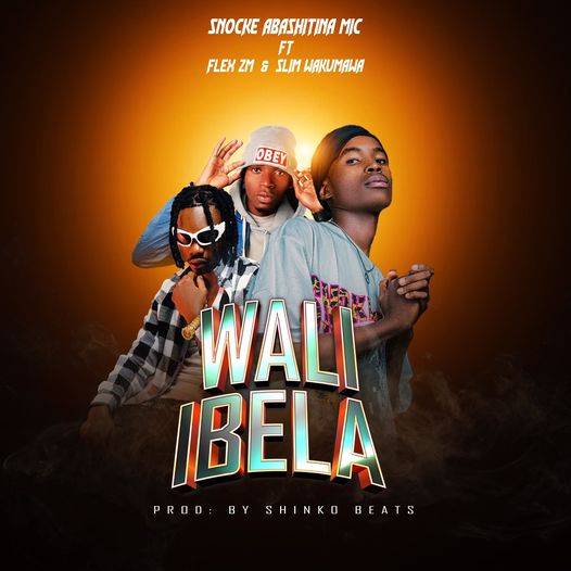 Snocke Abashitina Mic ft Flex ZM & Slim Wakumawa - Wali Ibela Mp3 Download