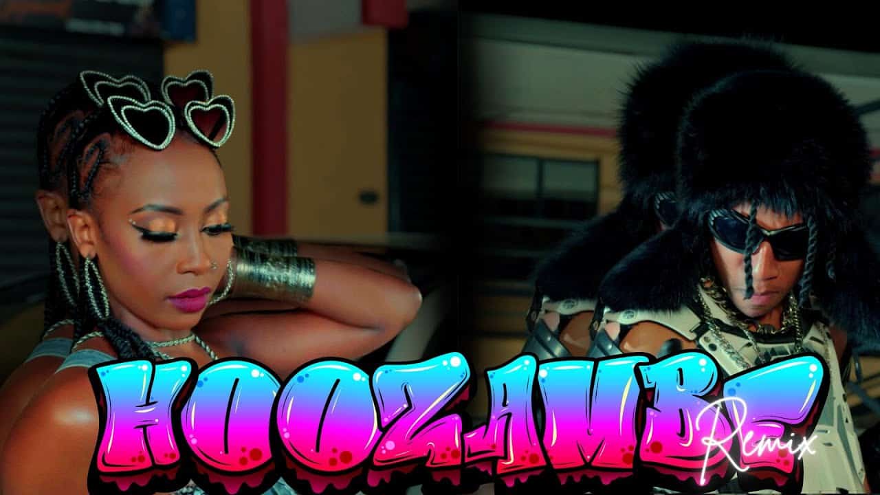 Hoozambe Remix Mp3 Download